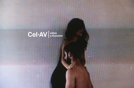 Cel·AV